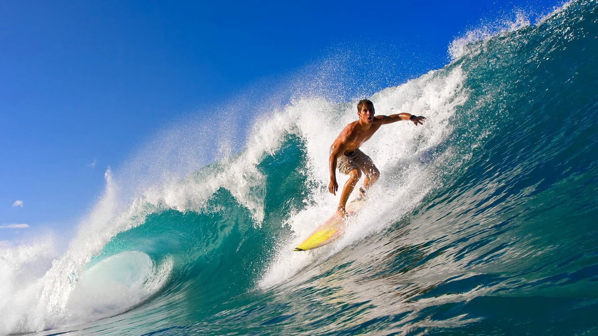 《解密:电竞职业选手的日常训练安排》,电竞选手的训练要求
